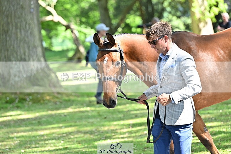 250521A-154500-00733 - B-363-Tom.D.Crisp-BLS.ABSOLUTELY