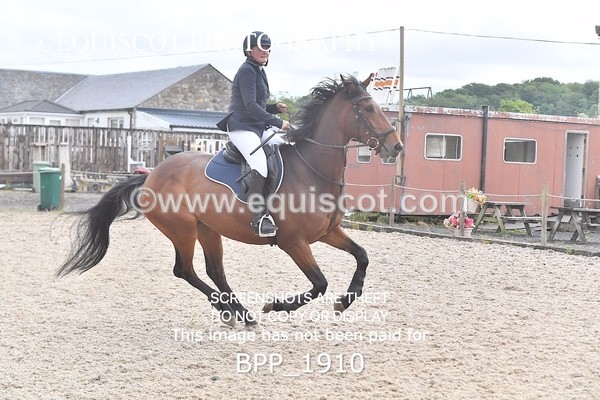 BPP_1910 - SAT CLASS 10 Senior British Novice/ 90cm Open