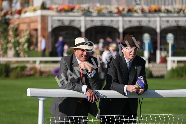 yr08102021r3-19 - Race 3 3.15pm Download The Casumo App Today Handicap