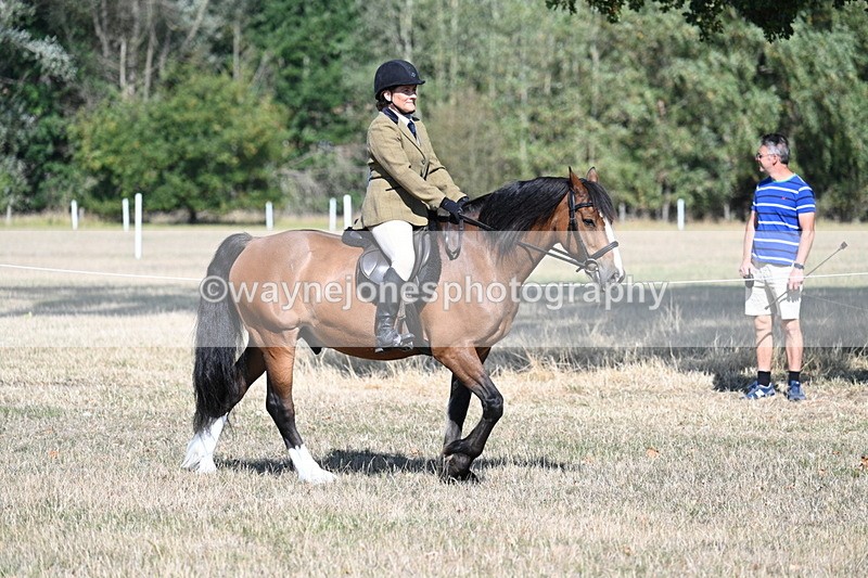 WJ7_3423 - Class 9 Mountain & Moorland Ridden