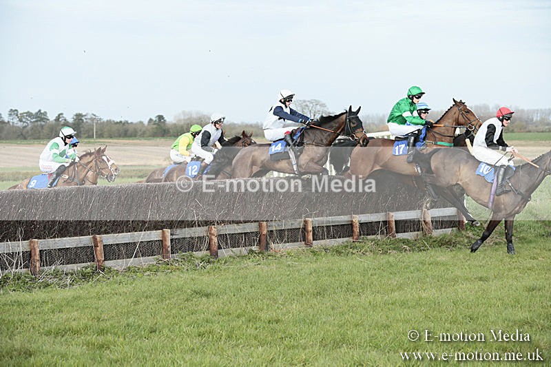 PtP 230319 424 - VWH Hunt Siddington Point-to-Point Racing 23/03/19