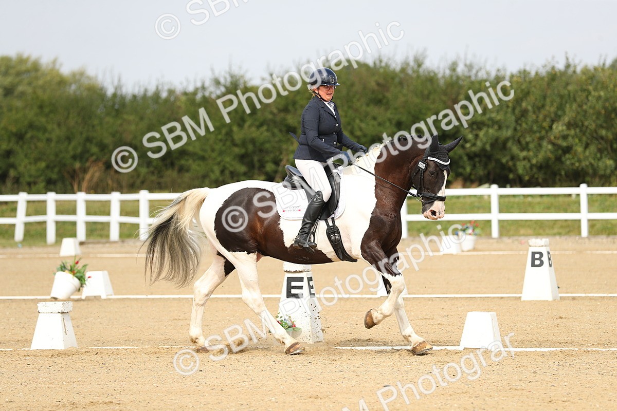 SBM_017270 - Class 13 - Novice 23 - 13.31-14.13