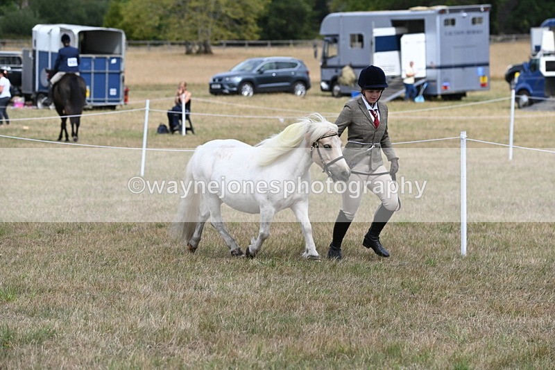 WJ6_5943 - Class 19 In-hand Veterans (Uploaded correct folder)