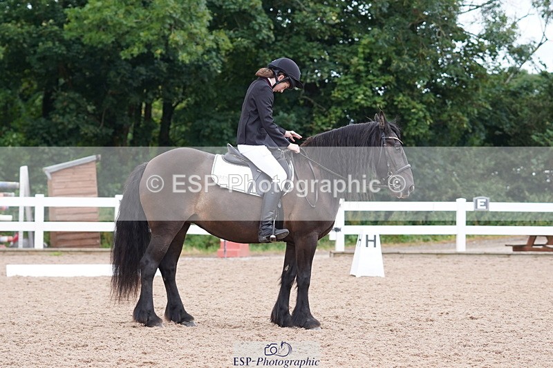 240809A-095438-00356 - Dressage Competition