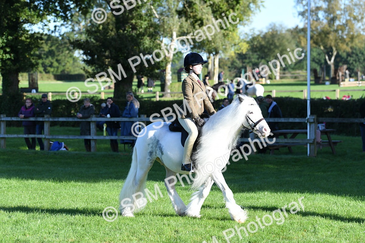 SBM_34000 - S16 - Condition & Turnout - Ridden