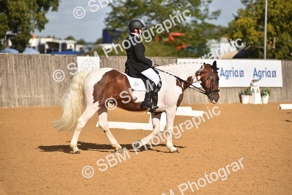 SBM_03185 - D4 - Small Tour Championship Intro 4