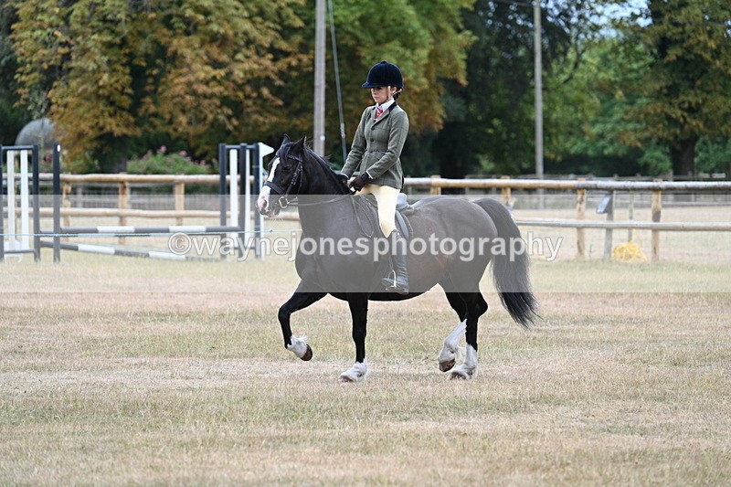 WJ7_0320 - Class 6 Ridden Mountain and Moorland