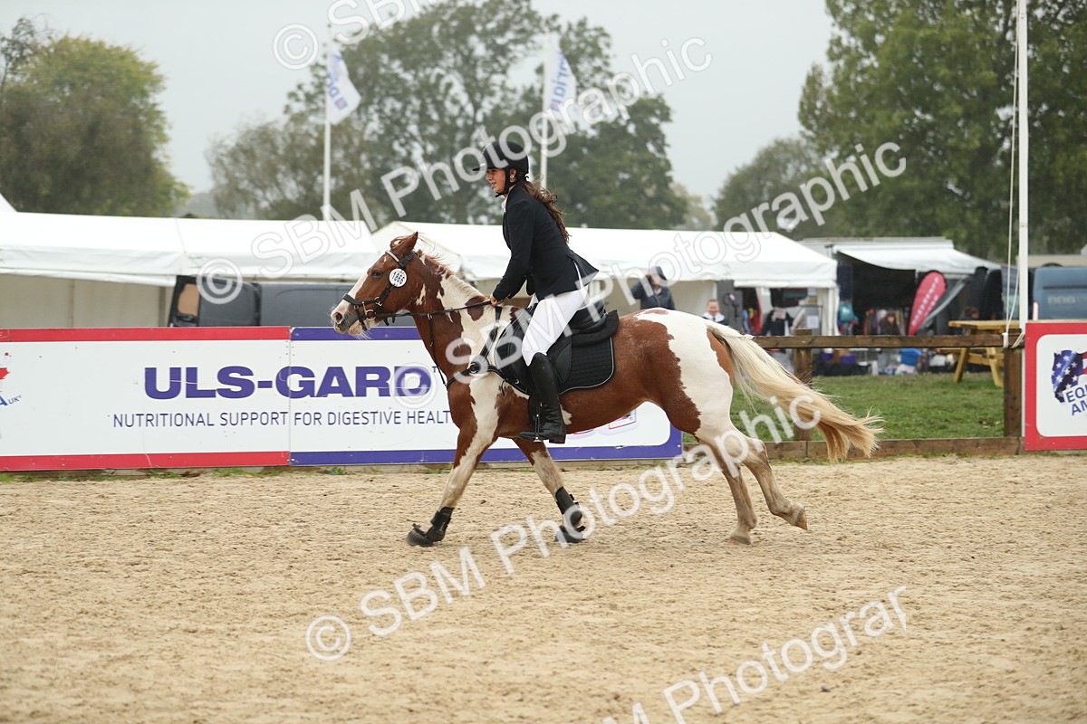 SBM_74159 - J16 - Junior Pony 75cm Championship