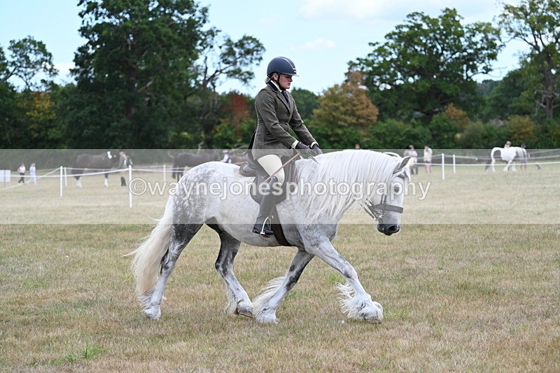 WJ7_5290 - Class 12 Ridden Cob