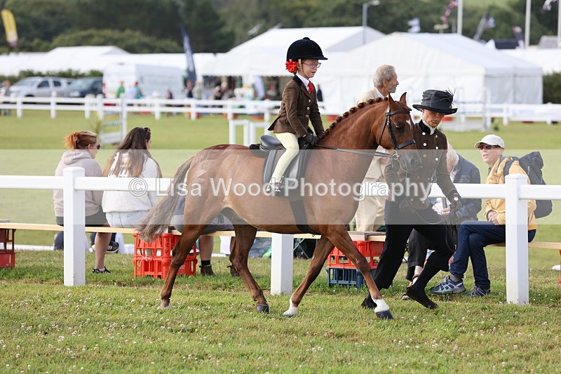 JPP_0271 - Class 14: Cornish Combination Leading Rein