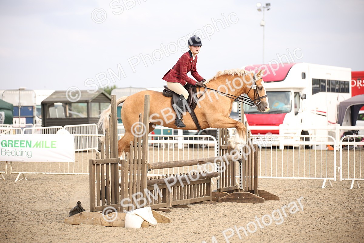 SBM_17255 - Class 410a - Wor5king Veteran 90cm (15-19)