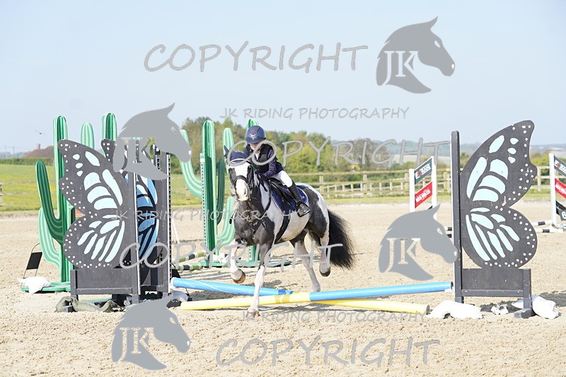 _DSC6496 - USJL Oakingham Stud 27.04.25