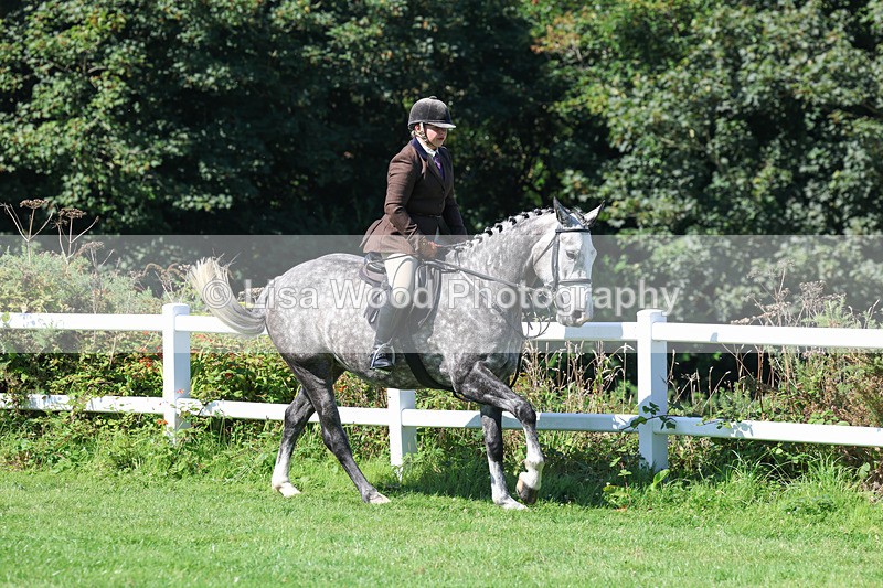 3E7A8363 - Class 4: Novice working Hunter