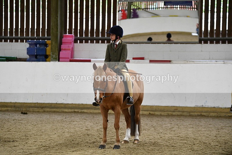 WJ5_7033 - Class 10 Childs Pony