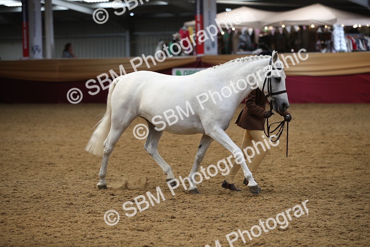 SBM_05366 - Class 8R - Regional IH Veteran
