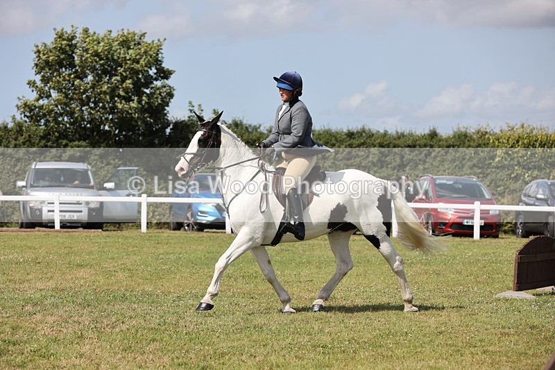 JPP_2318 - Class 19: Working Hunter 60cm