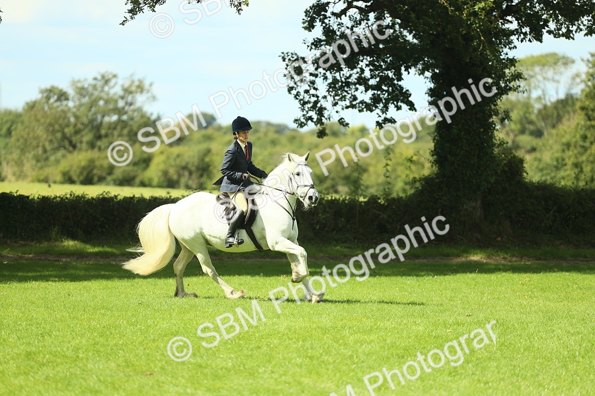 SBM_42928 - S30 - M&M Working hunter Pony