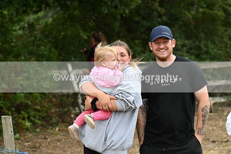 WJ7_9980 - Class 5a Most Handsome Gelding (above 14.2hh)