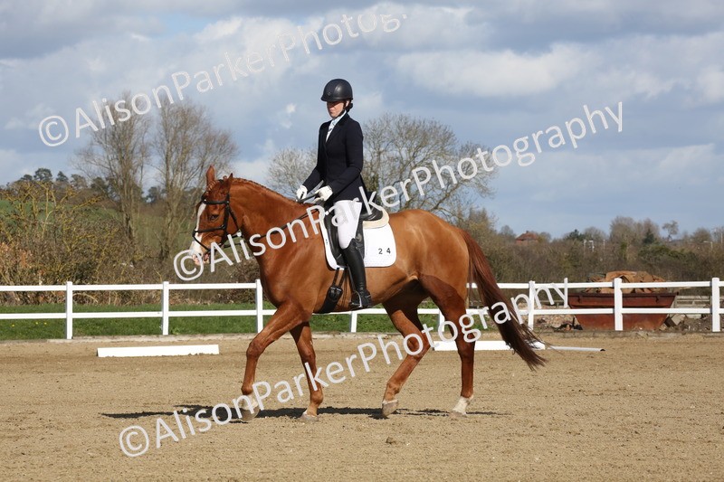 20260314-4137 - CT4 - Novice 1