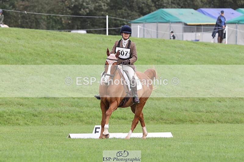 231019-105146-02464 - 607-RICO.III-Alison.Stewart-DR