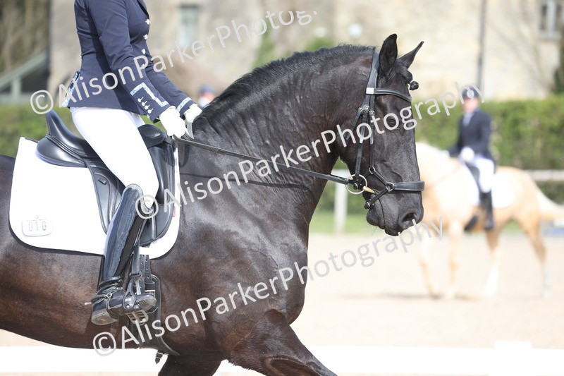 20260405-0226 - Class 3 - Novice 5