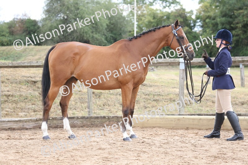 20260831-1935 - Class 5 - Retraining of Racehorses
