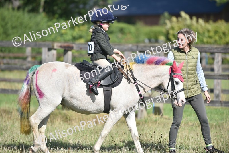 20260906-0977 - Class 7 - Absolute Novice Jumping 35cm