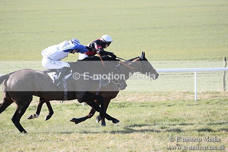 PtP 240218 78 - Vine & Craven Hunt Point-to-Point Barbury racecourse 24/02/18