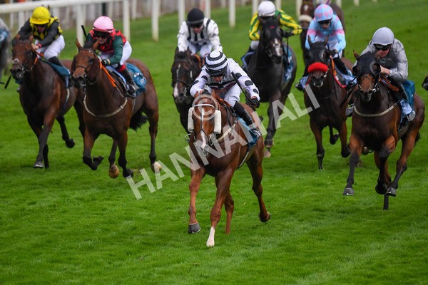 100923-Race 7-Looking For Lynda-1243 - Race 7 4.55pm Brian Taylor 50 Not Out Apprentice Handicap