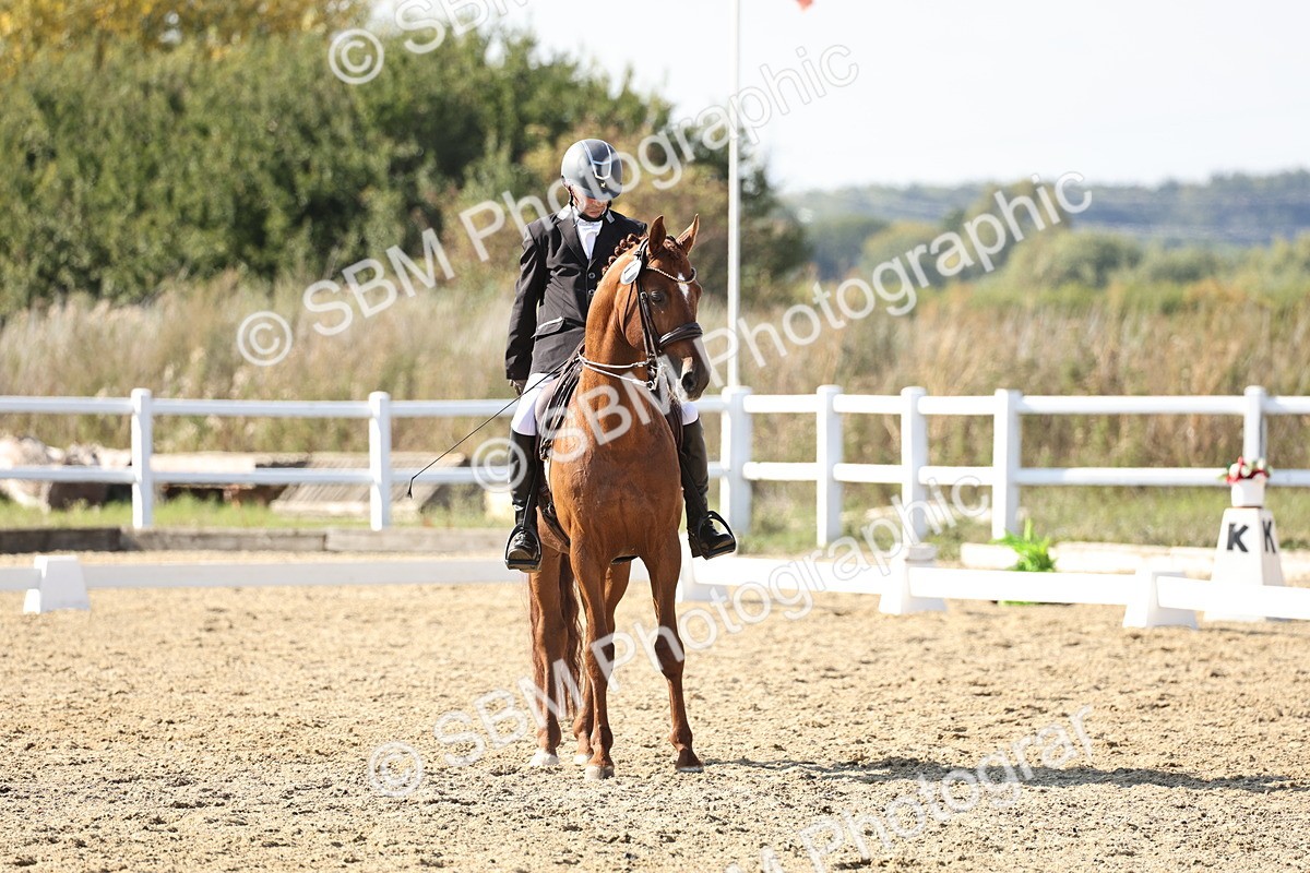 SBM_015351 - Class 9 - Advanced medium 3