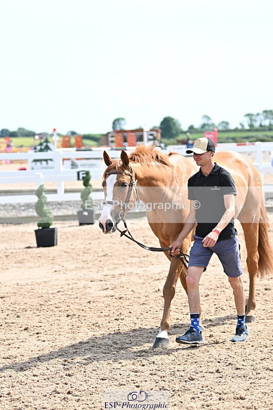 240717A-153355-02884 - Trot Up 3pm to 4pm