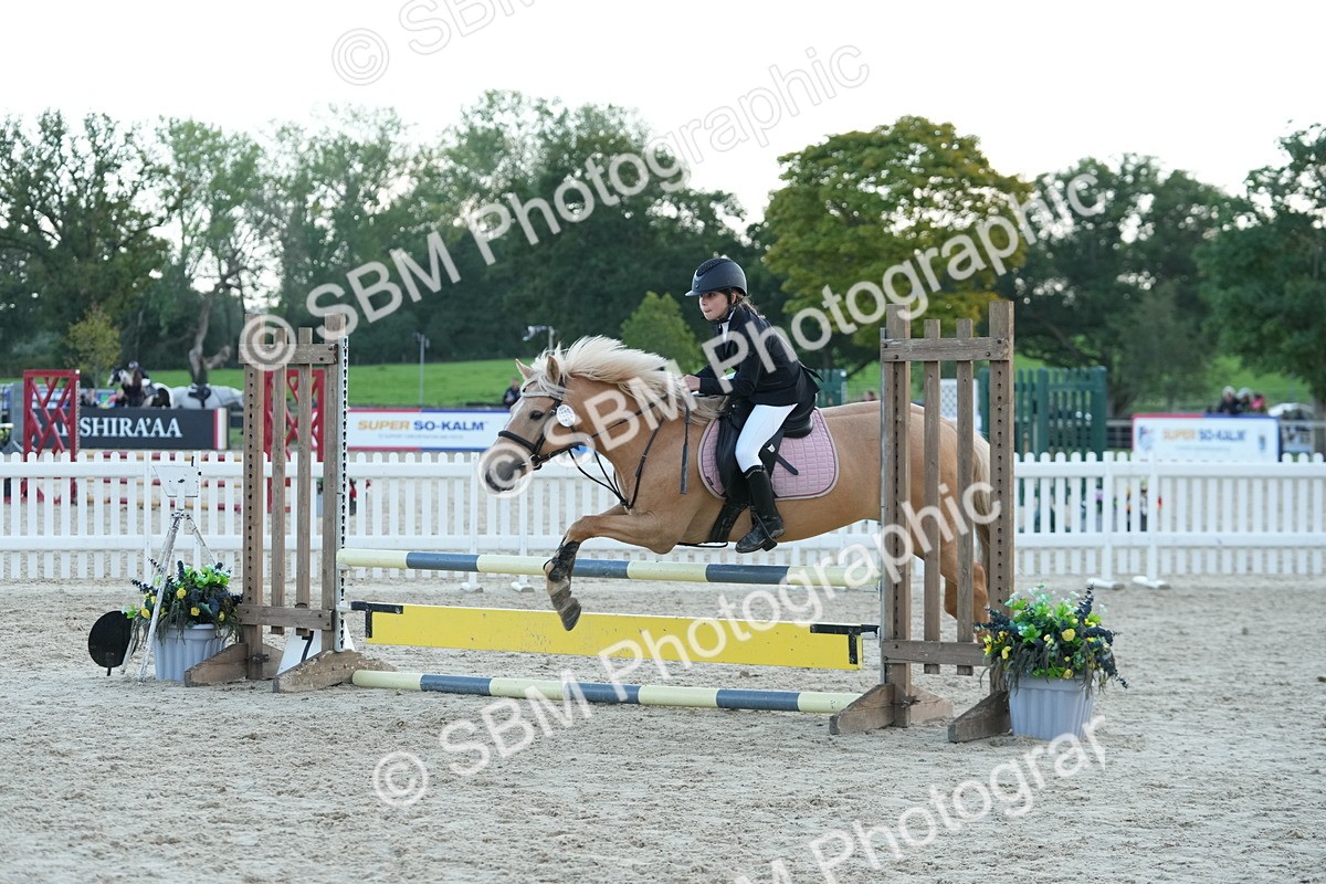 SBM_54214 - Supreme Championship 60cm 65cm