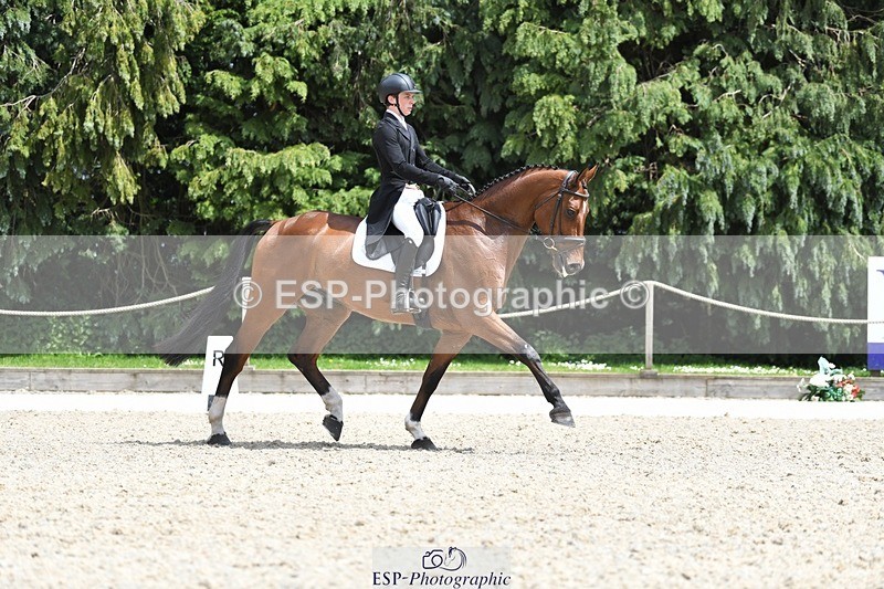 230525-140729-03094 - 318-JUST_HAVE_FAITH_TN-Alfie_Marshall-WEDTrotUp+DR