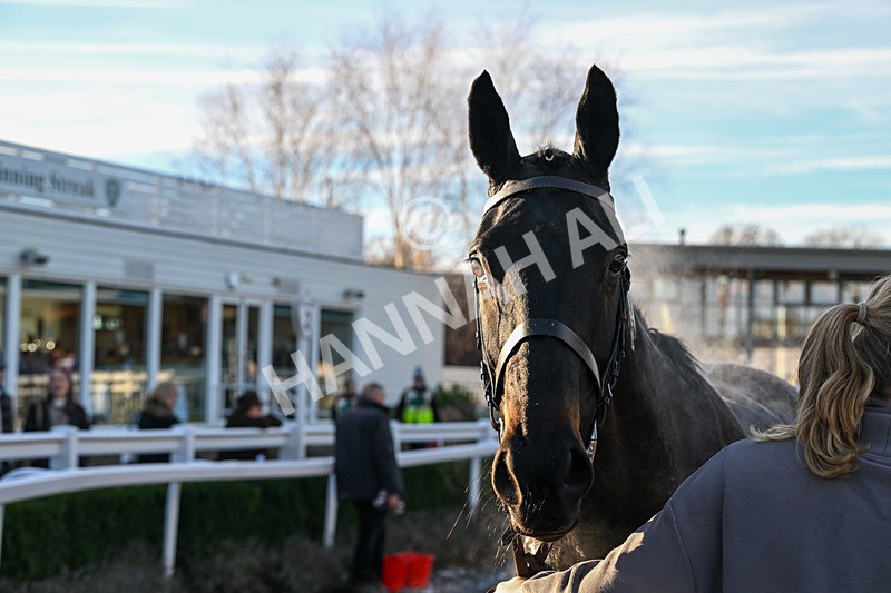 211125-Race 1-I See The Sea-6789 - Race 1