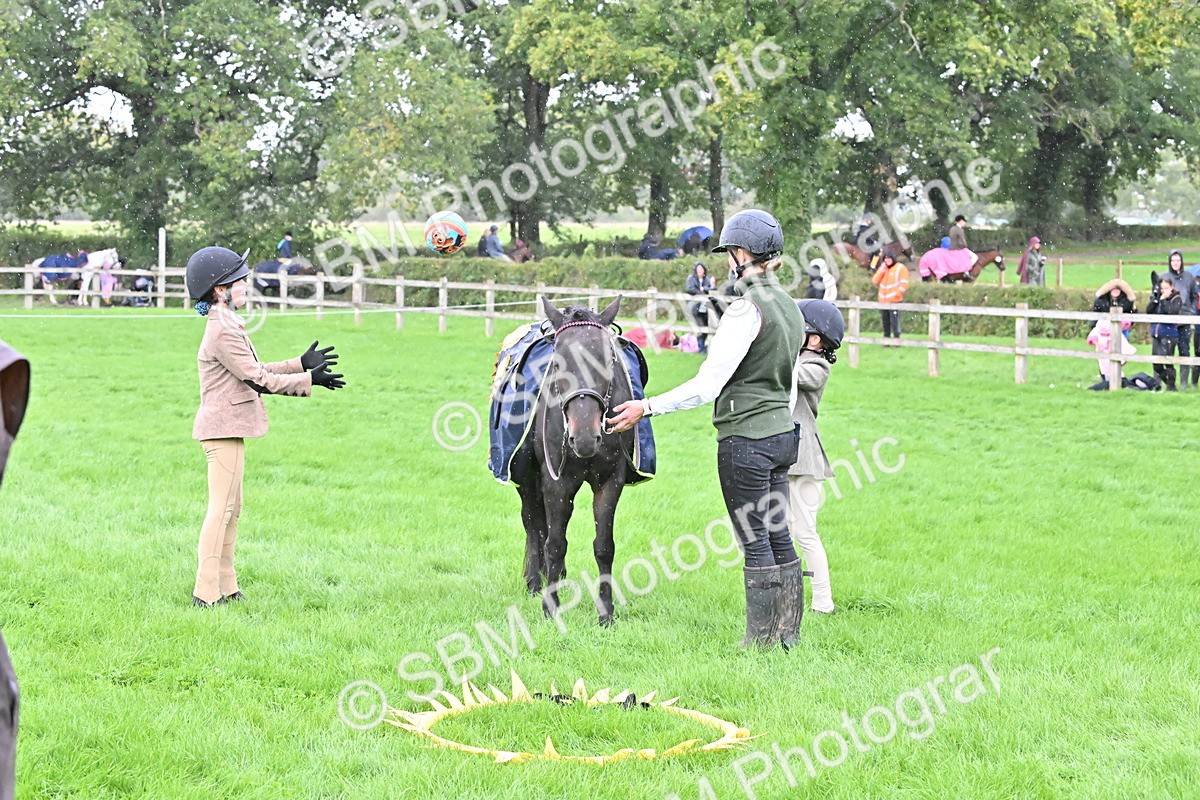 SBM_42997 - S12 - Family Horse & Pony