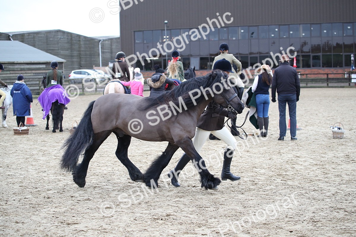 SBM_006402 - Class 10-13 - RIHS Small Large Breeds