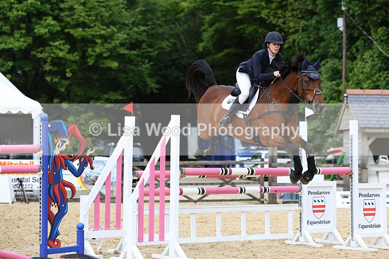 3E7A7602 - Class 8: Senior Foxhunter/1.20 open