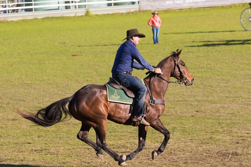 Guy McLean 12. 0A3A9617 - 2025 Senic Rim Clydesdale Spectacular