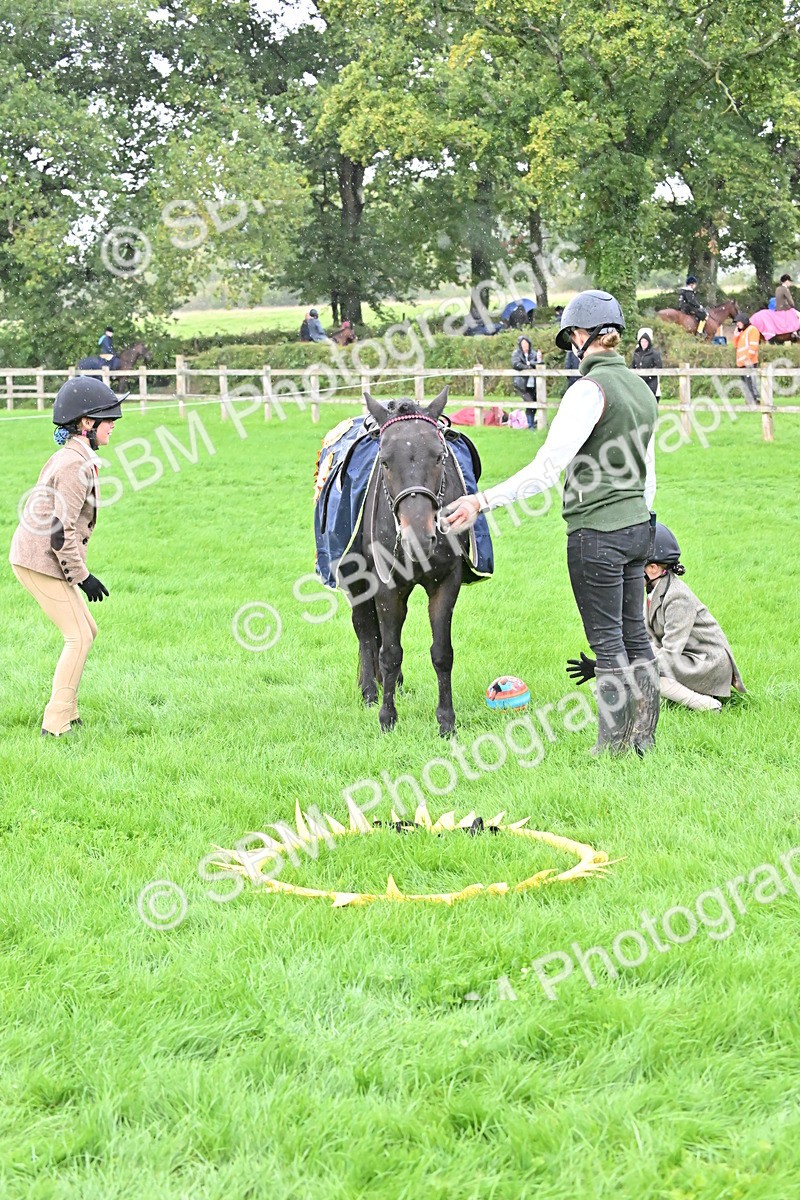 SBM_42996 - S12 - Family Horse & Pony