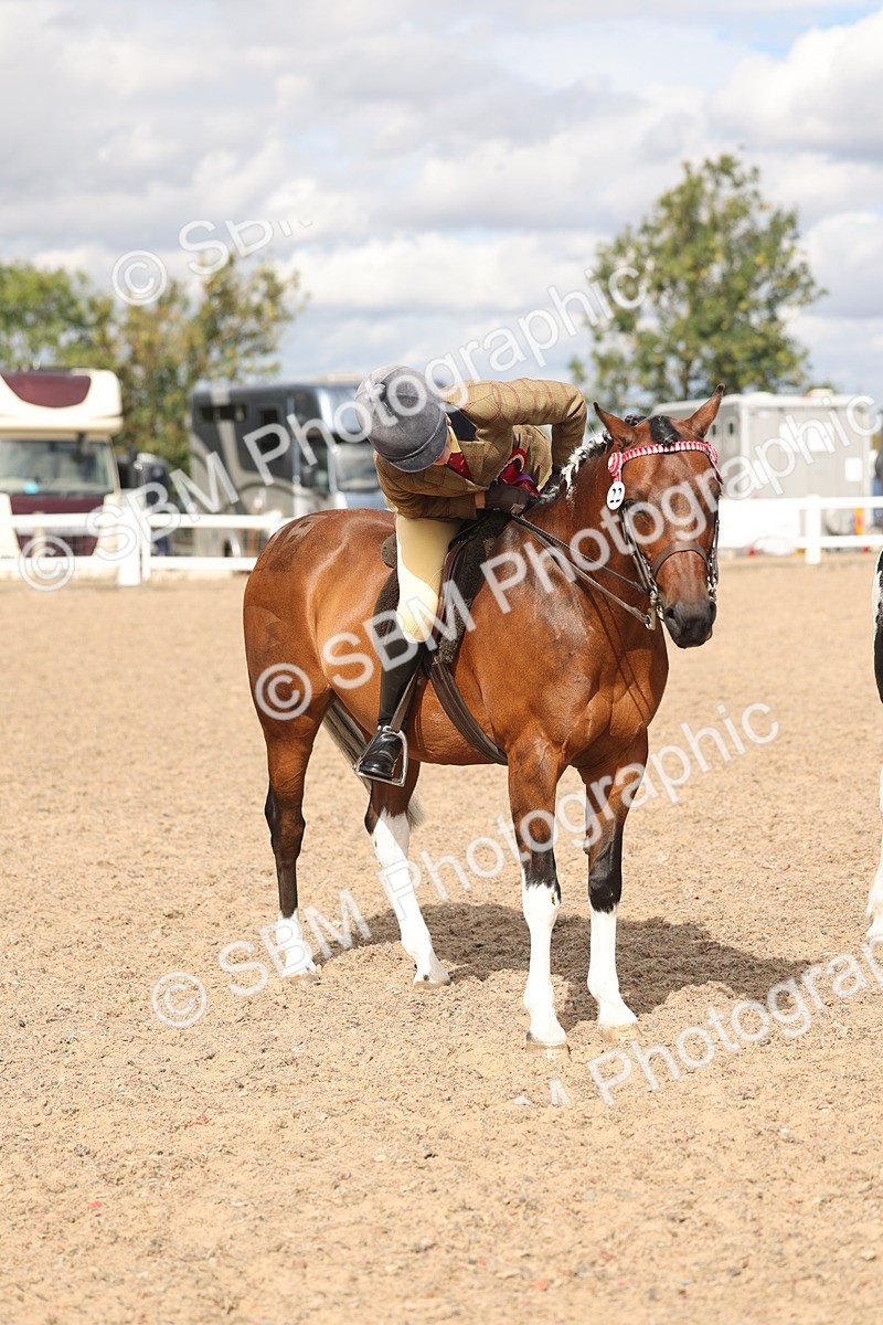 SBM_14682 - Class 307 - Ridden Coloured Pony