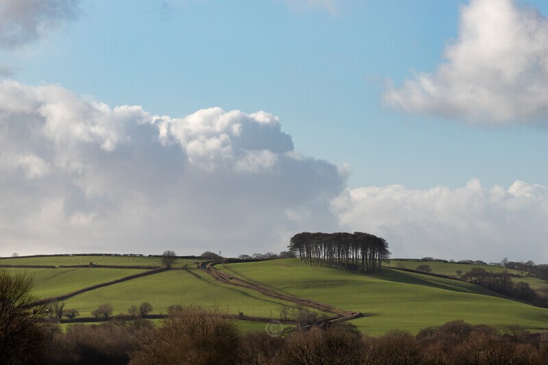 Nearly home - Cornwall