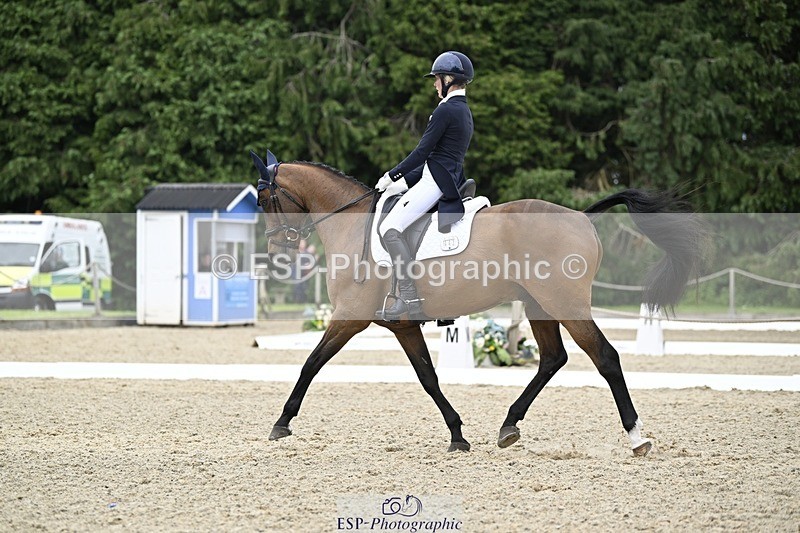 240523-144912-05105 - 442-FERNHILL_ZORO-Cassie_Sanger