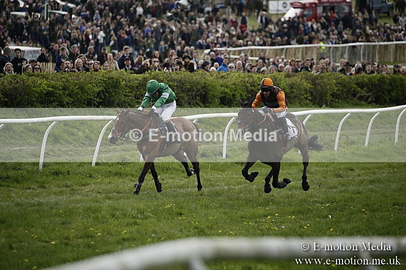 PtP 170417 189 - Old Berks Point-to-Point Lockinge 17/04/17