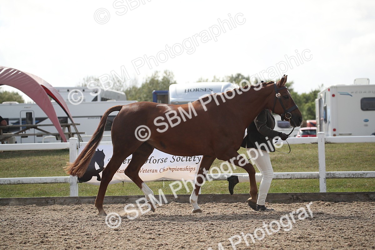 SBM_23087 - Class 606 - 2026 - Area - IH Pre Vet