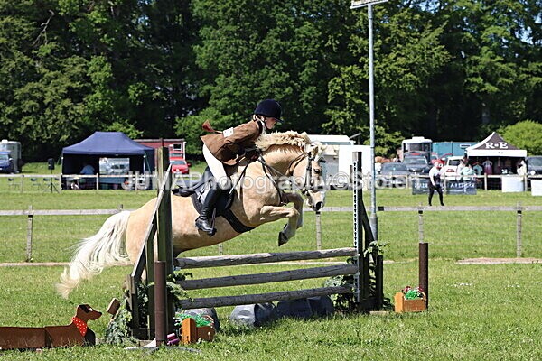 IMG_4261 - Working Hunter