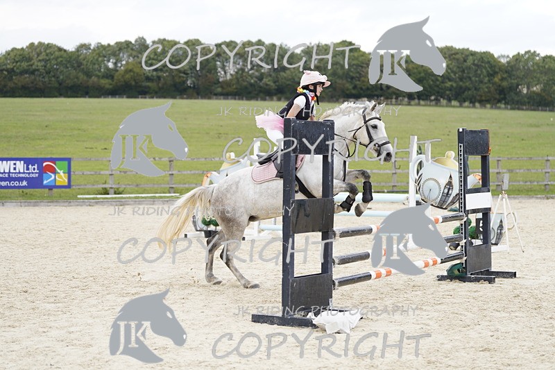 _DSC1831 - 70cm/80cm fdp