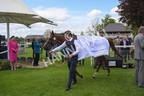 yr12052022r2-51 - Race 2 2.25pm Al Basti Equiworld Dubai Middleton Fillies' Stakes