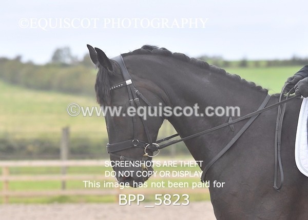 BPP_5823 - PRELIM TEST 5 LONG ARENA