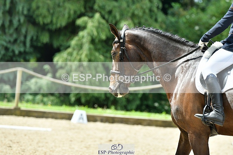 230623-112319-00438 - Cls 3 Novice 23 Start to 11.55 break