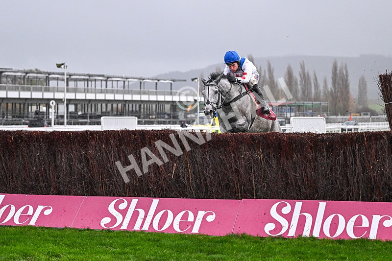 141125-Race 4-LEau du Sud-0417 - Race 4